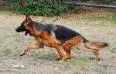 Danka in movimento !