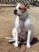 Cookie Campbell