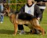 Binka Vom I-Guard International