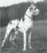 CH Bismarck Liberte'