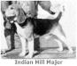 FC Indian Hills Majer