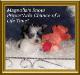 Magnolia's Snow PrinceArlo Chance of a Life Time