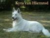  Whise Kyra van Hiemrod