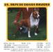 INT CH, WW 97 Ralph du Donjon Magnolia