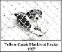  Yellow Creek Blackfoot Rocky