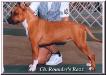 CH Rounder's FullMoon Razzmataz
