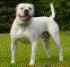  Ostergaard's Bandit