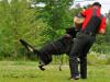 Controlled k-9's  Havok