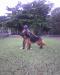 Dalila do Solar dos Figueiredo