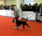 Boss von Boxerator