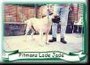  Pitman`s Lade Jade