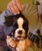 Duncan von Boxerator