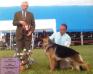 GCH CH Pinebuck-Kismet's Adagio