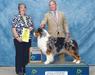 GCH Shenandoah Shadomoon Secret Edge