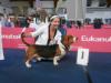 Inter. CH; Austrian CH; Slovenian CH; Karawanken Winner; BOB Home-Watcher's Picasso