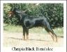  Cherpin BLACK BRENDALEE