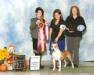 AKC CH Alpine's Raise Your Glass