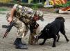 Balu Marinchuk K-9