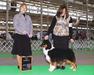 AKC CH Bayoulands One Hug At A Time