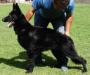 Lia Real K-9