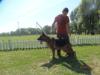 Otto Vardar Wolf