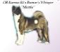 AKC CH Karma Ki's Rumor's Whitsper