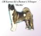 AKC CH Karma Ki's Rumor's Whitsper