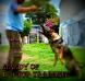 Mandy of k-9 top training