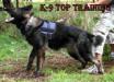 Arka of k-9 top training