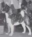 AKC CH OBJ Moonraker Of Wicca