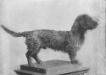  Otter Hubertus