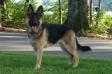 Prince Lukas Maximus von Ryanhaus