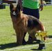 Bi-Campeona Cuyana (ARG) 2016/18. Qarola Von Nefru