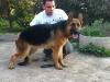 Baly von valezsal'k