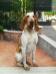 Zeus (2010) LOI 1061234