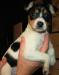 Molly