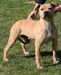  Mein staffi UPTOWN Girl