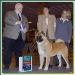 AKC GCH Wicca's-CR Lethal Weapon