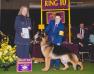 GCH J L Legacy's Gift Of The Magi Melchior