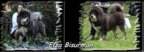 Elza Bisurman