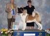 AKC GCH Sondaisa Tough Act To Follow Stardust