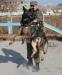 Karro Marinchuk K-9