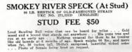 Smokey River Speck