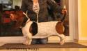 Ronja Lady Barnett's