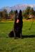 Yago Real K-9