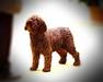  Made in Spain de Tender Teddy