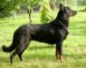  Urka des Assiers