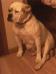  Lilly's On A Rampage, NKC09-900354196