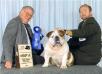 CH (AKC/CAN) Rosehall's Good Time Charlie