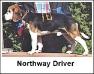  Northway Driver